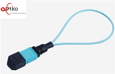 12 คอร์ MM MPO Loopback ตัวเมีย
